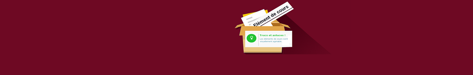 Les éléments de cours (Etiquettes pédagogiques)